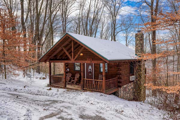 Front of the cabin with trees and cloudy sky