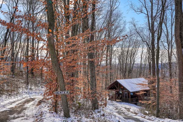 Wooded area with the cabin in the background