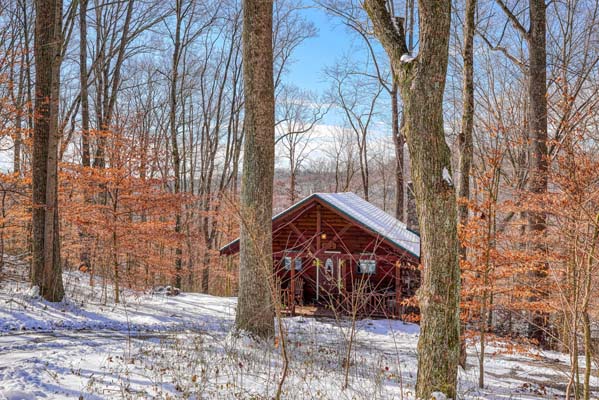 View of the cabin through snowy trees
