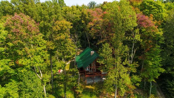 Cabin with forest views