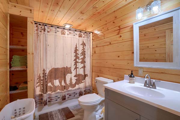 Lower level bathroom