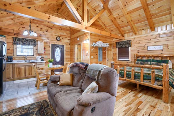 Interior with sofa and the sleeping area beyond