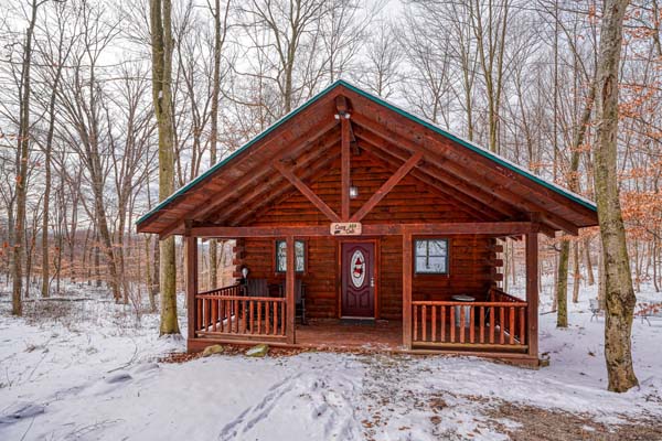 Snowy view of the cabin with bare trees behind