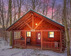 The Cozy Cub Cabin in the snow
