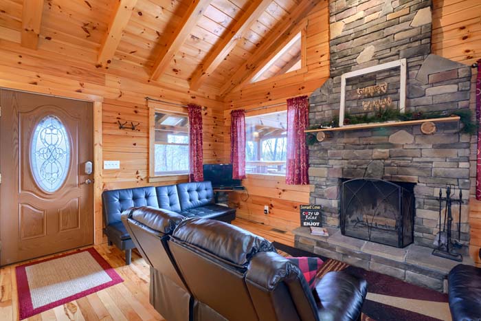 Living room with sofa and futon