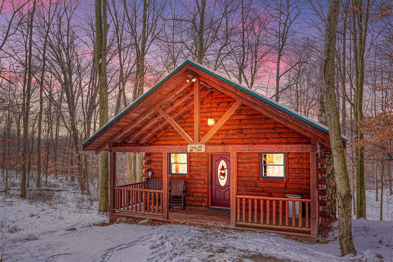 The Cozy Cub Cabin in the snow