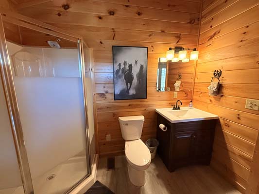 Lonestar Cabin in Hocking Hills, photo 52 of the cabin, decks and interior