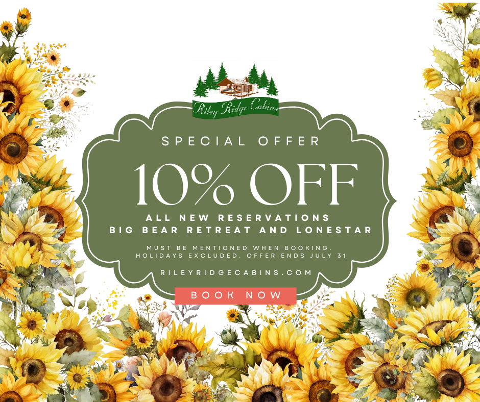 Riley Ridge Cabins seasonal rental special flyer