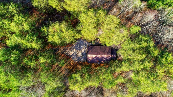 Aerial view of the cabin roof among the trees