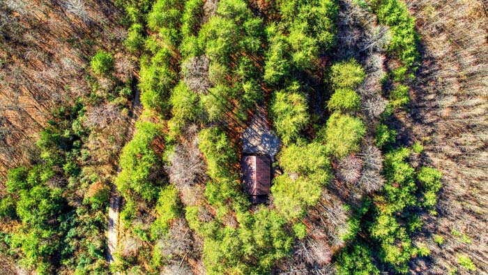 Aerial view of the cabin and drive