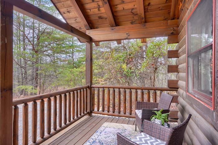 Deck railing looking into the woods