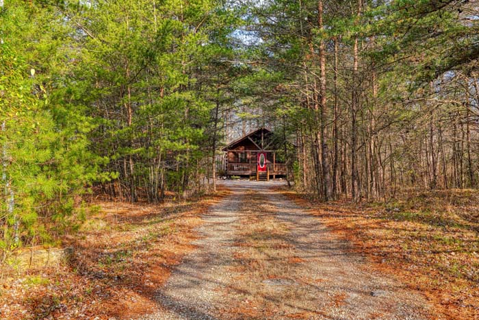 Wooded drive leading to the cabin