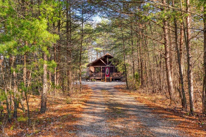 The Sugar Bear Cabin nestled in the trees